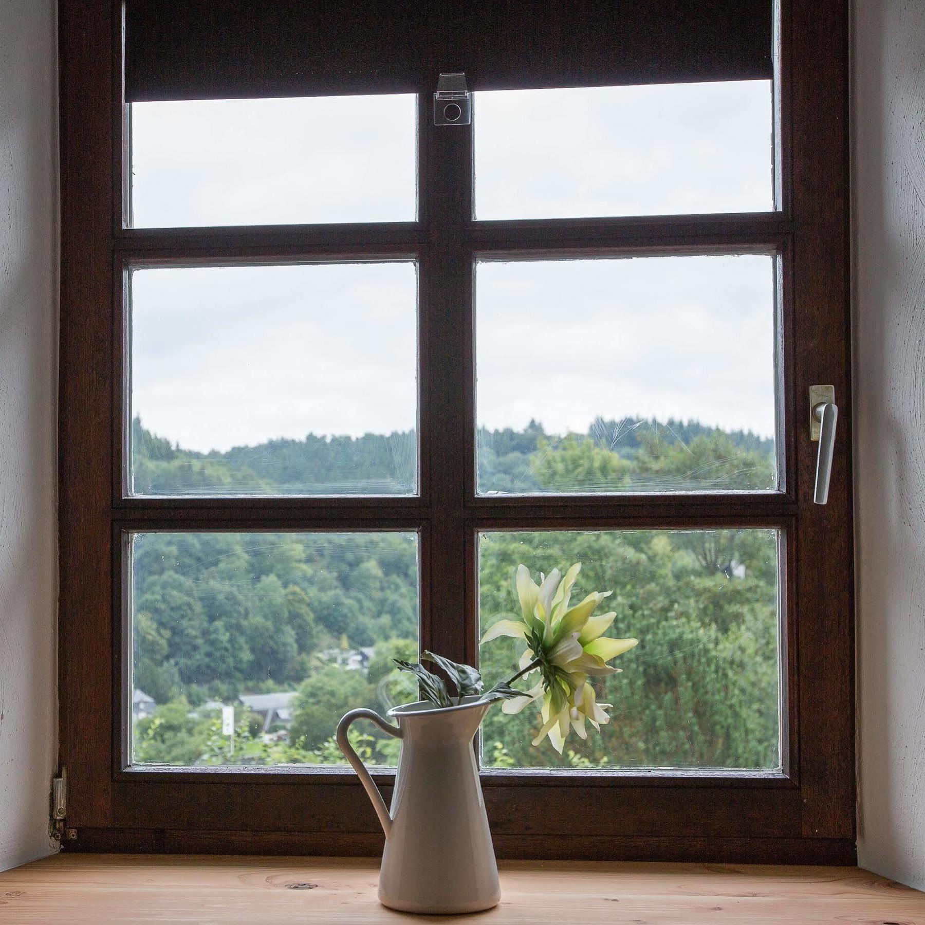 Felsenhaeuschen Lägenhet Monschau Exteriör bild